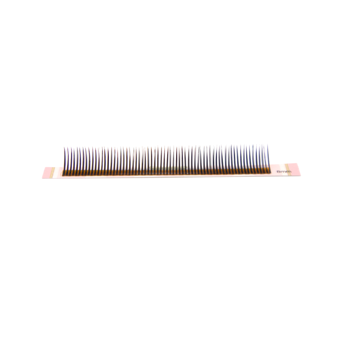 Princess Camellia Angel Lash Tray