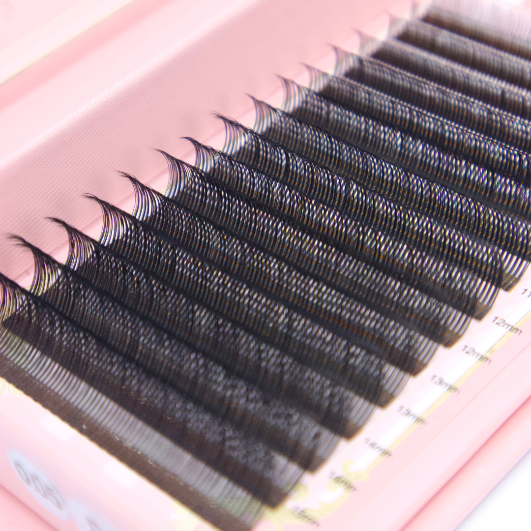 Princess Camellia Angel Lash Tray