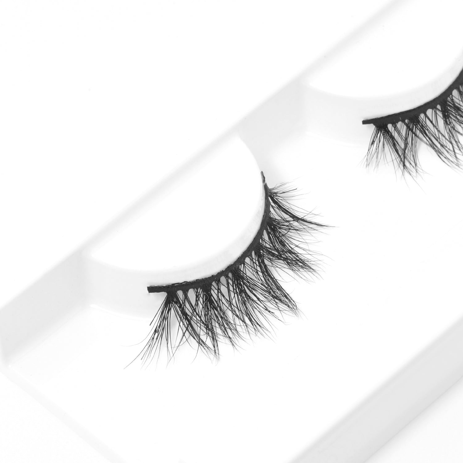 Ari Lash